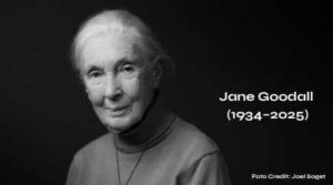 Jane Goodall overleden