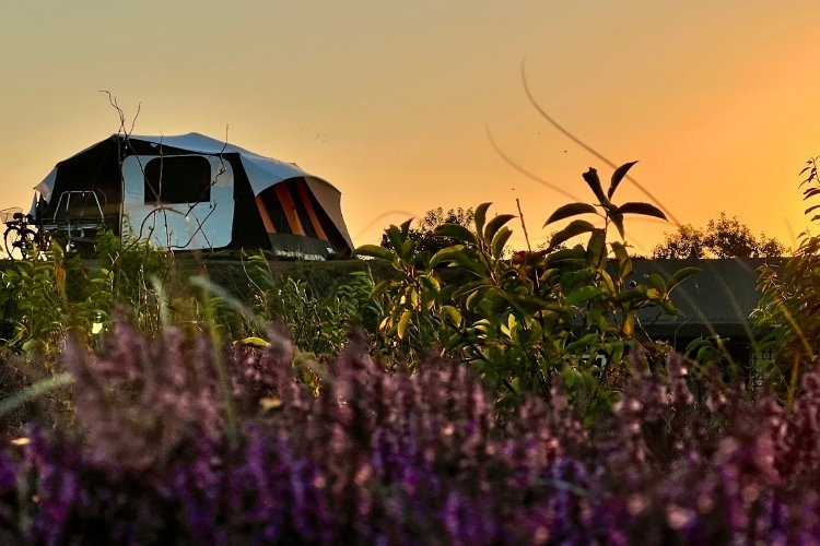 Foto credits: Wilmar Zomer toevoegen